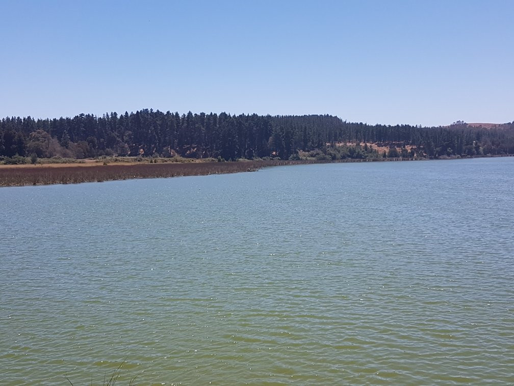 Reserva Nacional Laguna Torca-Llico必去景点