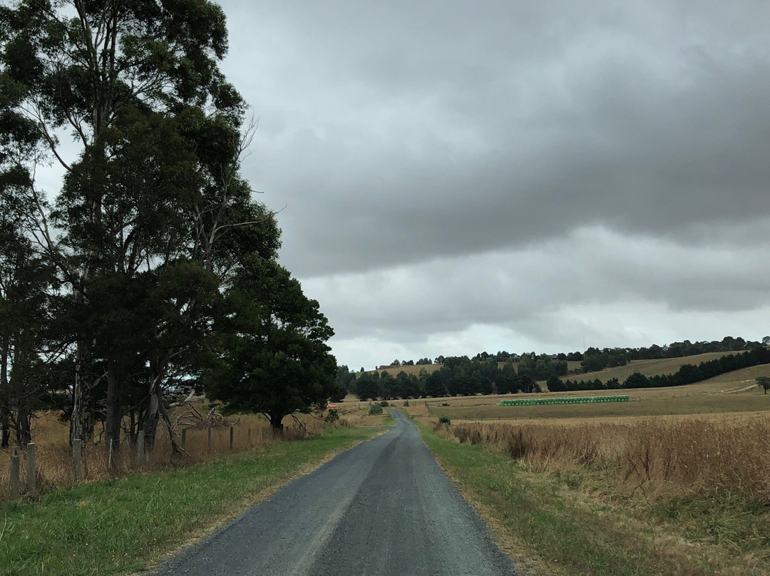 Kongwak Market-Kongwak必去景点
