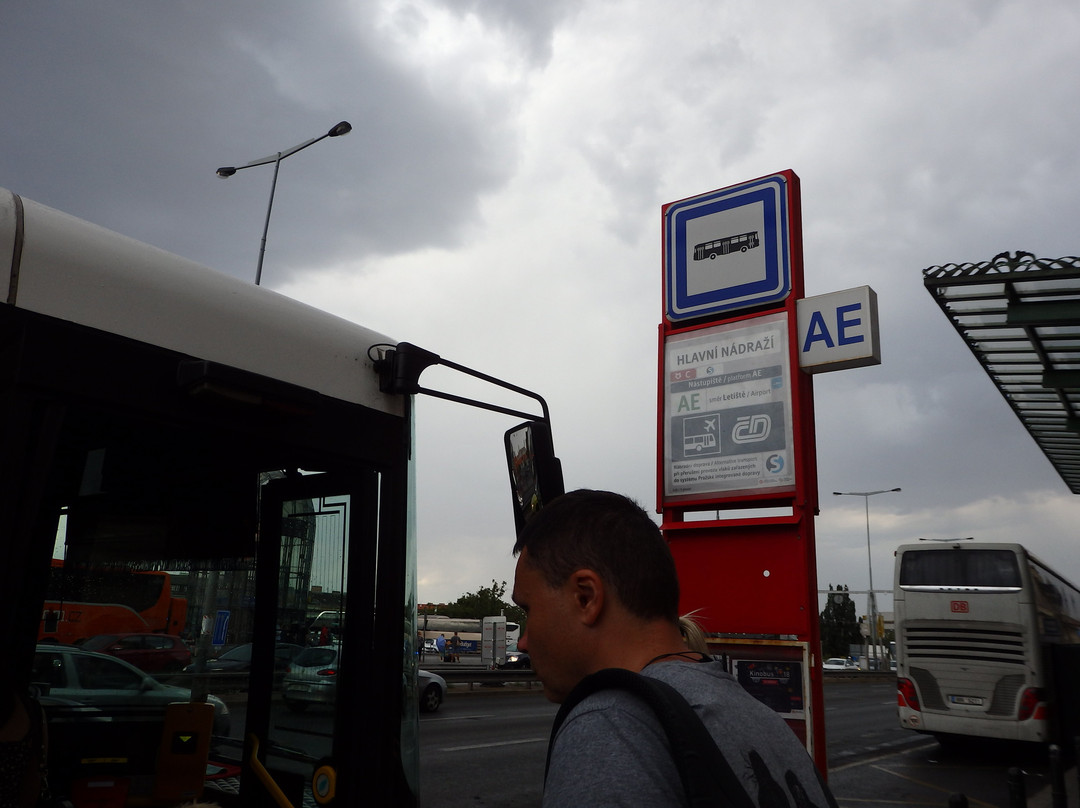 Prague Airport Transport景点图片