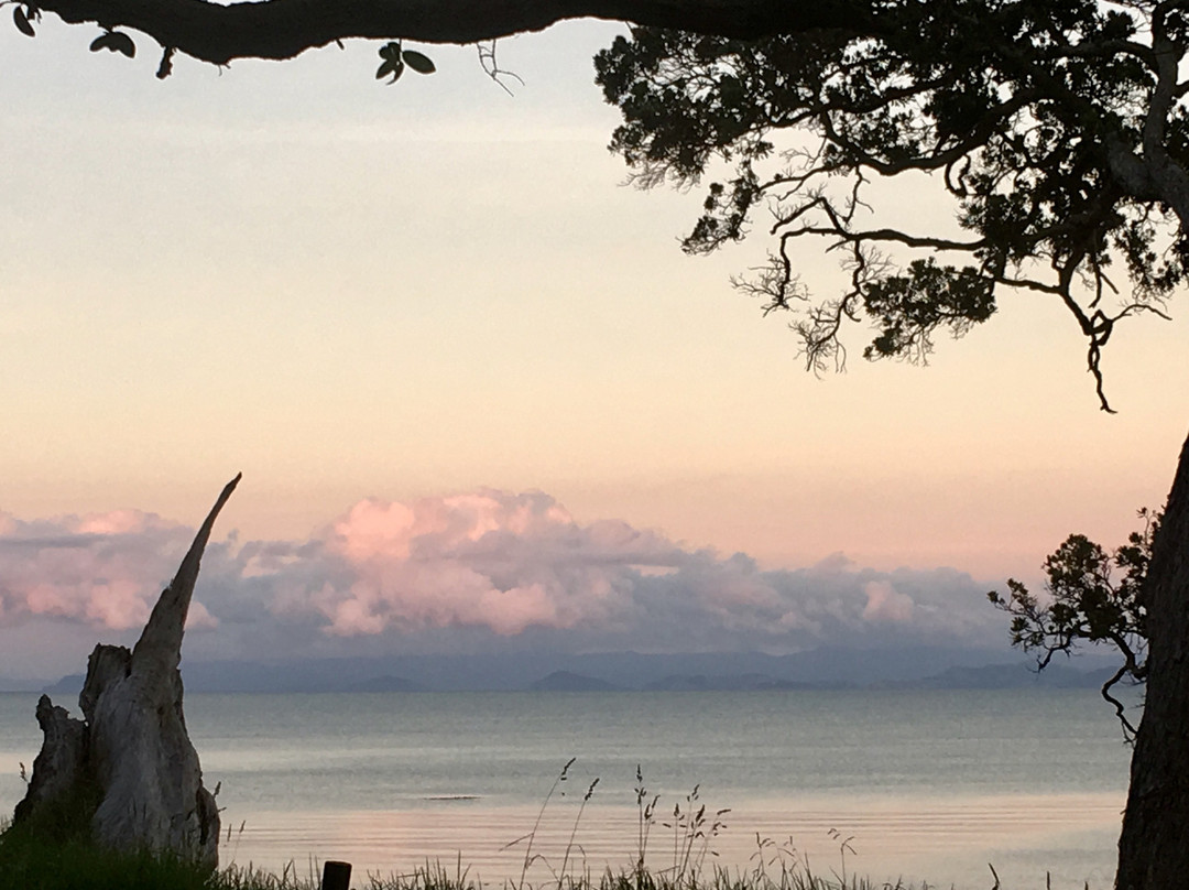 Tapapakanga Regional Park-Orere Point必去景点