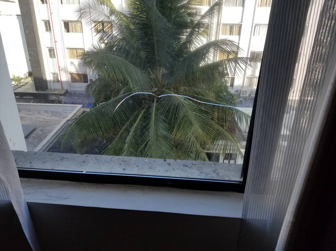 Royal Orchid Central主图