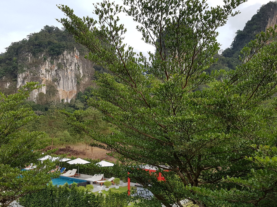 Montania Lifestyle Hotel主图