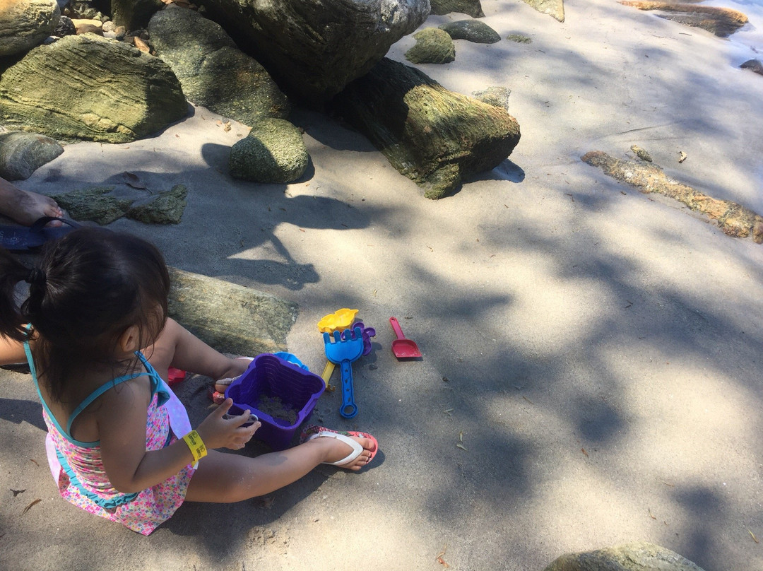 Brava Beach景点图片