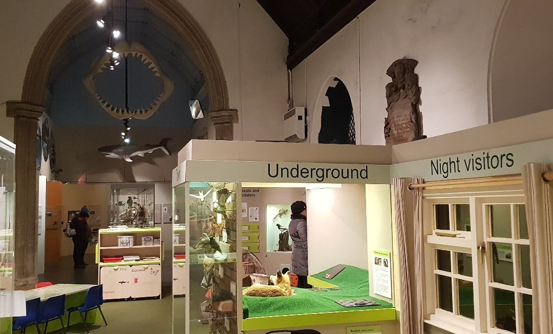 Colchester's Natural History Museum景点图片