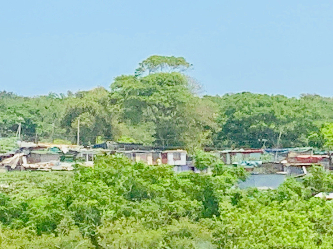 Tinley Manor Beach-巴利托必去景点