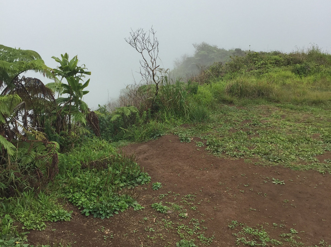 Waiheʻe Ridge Trail-Waihee必去景点