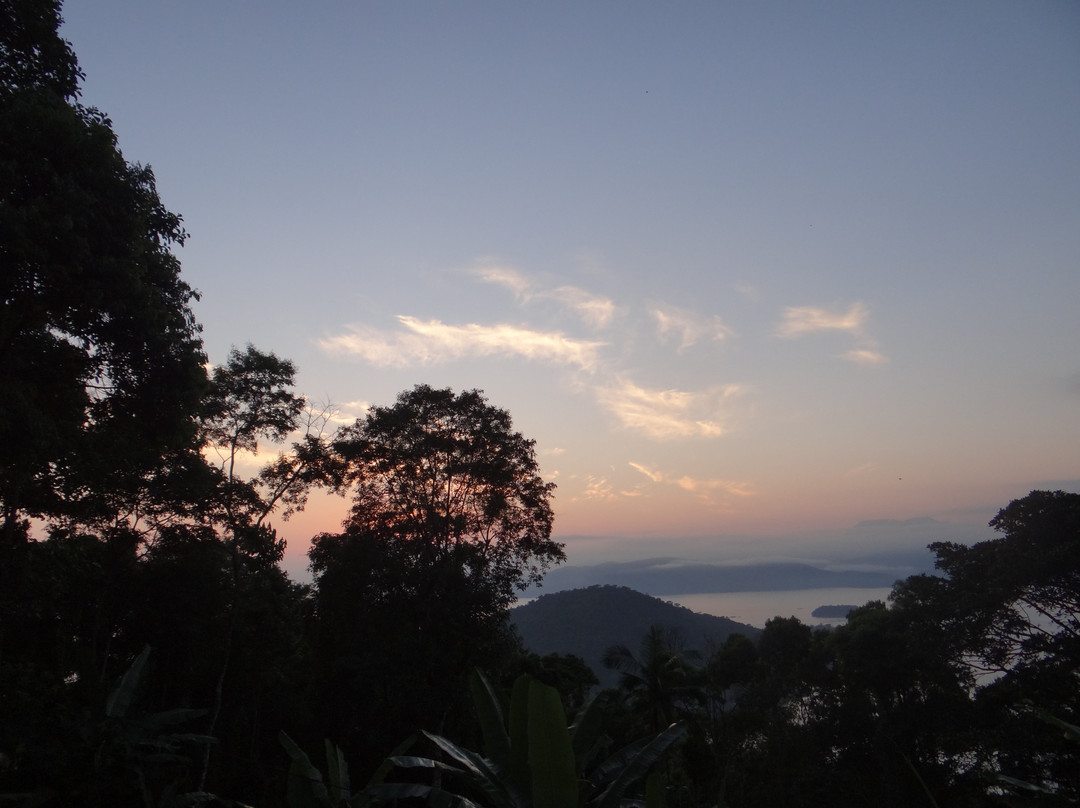 Bus Stop Paraty主图