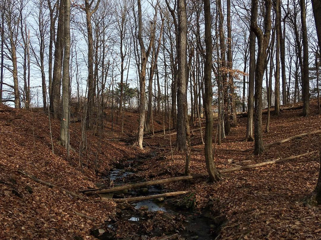 Poets' Walk Park-Red Hook必去景点