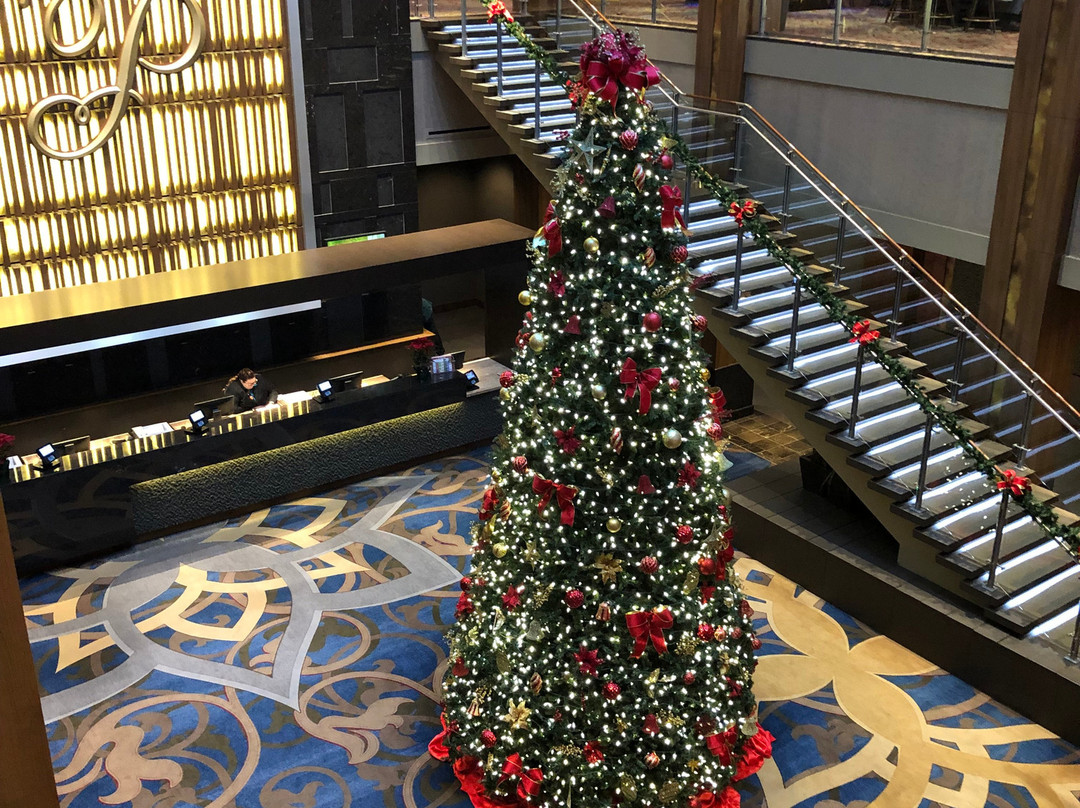 宫殿娱乐场度假村主图