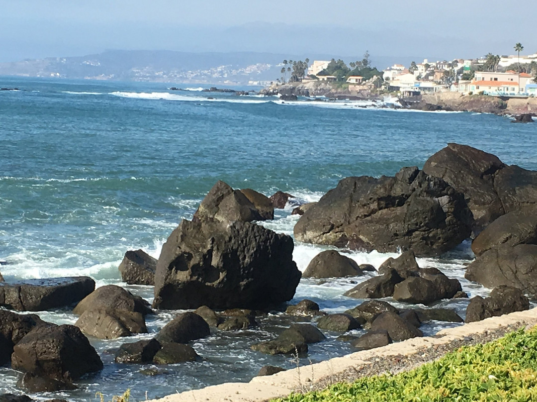 Punta Morro Hotel主图