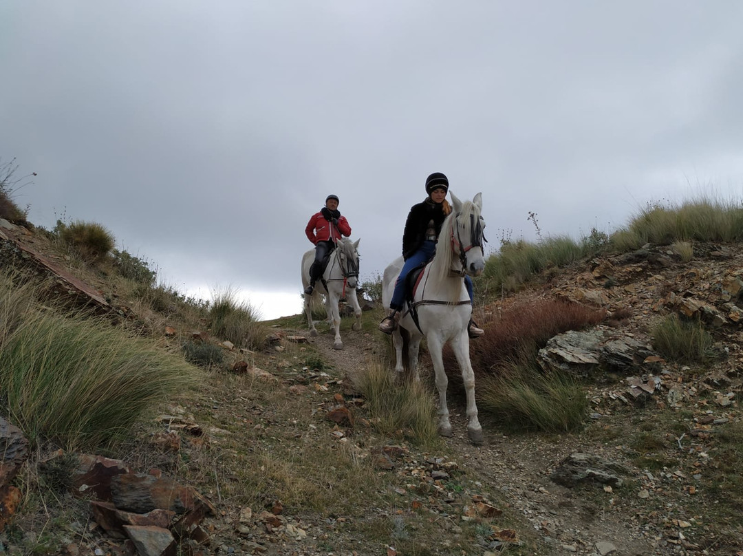 Riding Andalucia-布维翁必去景点