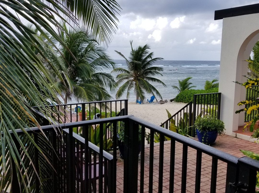 Turtle Nest Inn主图