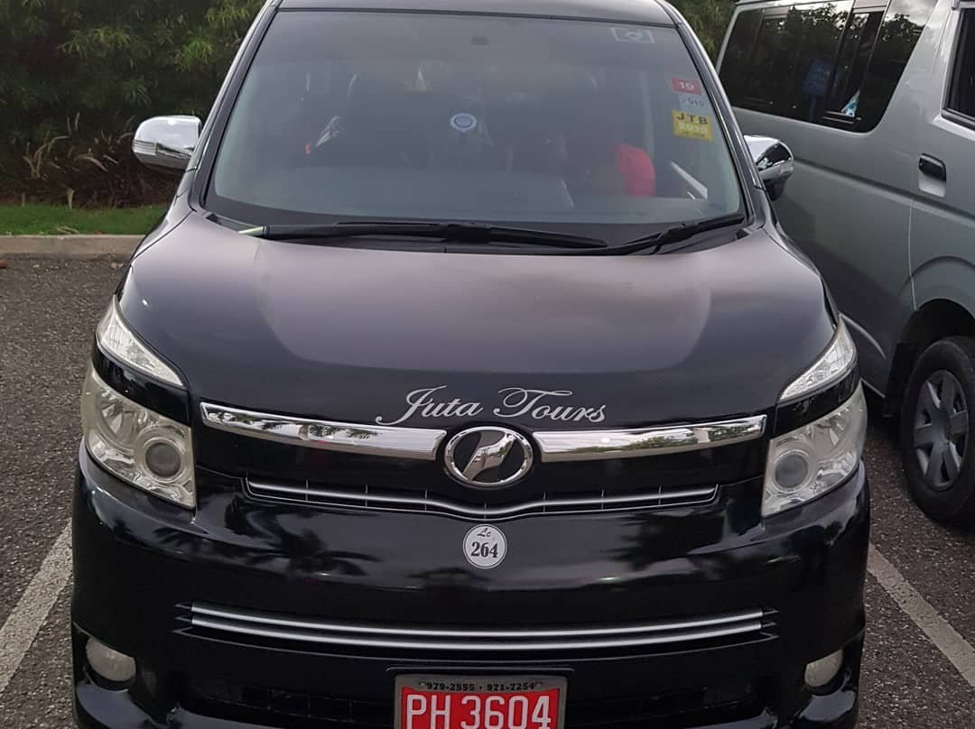 Real Best Tours and Taxi Jamaica-奥乔里奥斯必去景点