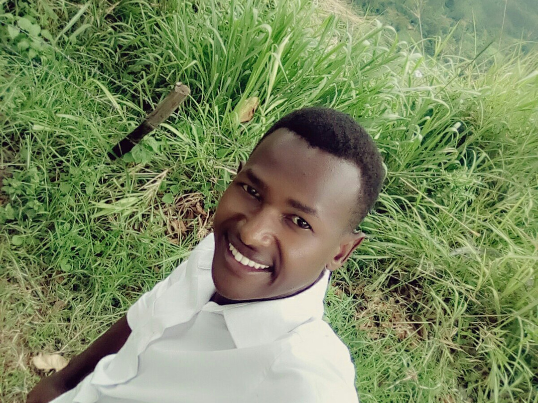 Noah's Ark Hotel and Resort主图