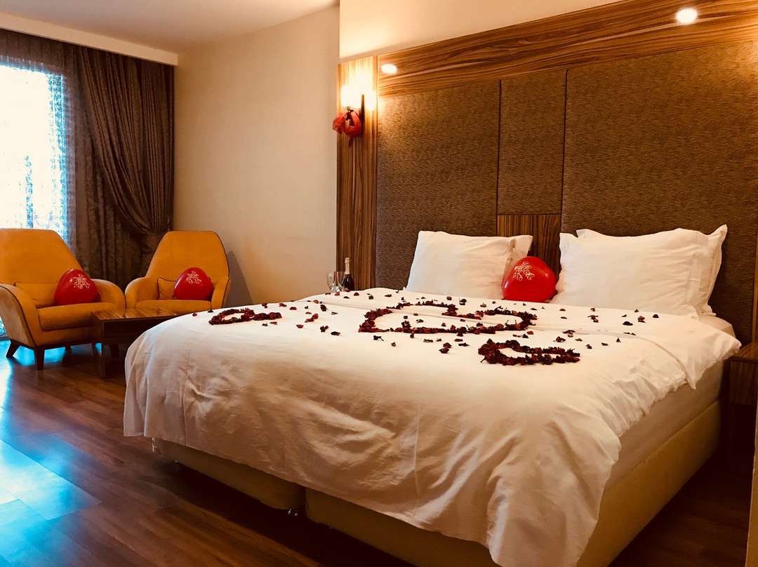 Tehran Boutique Hotel主图