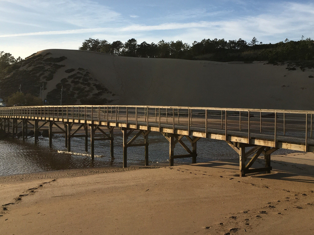 Passadiços da Baía de São Martinho do Porto景点图片