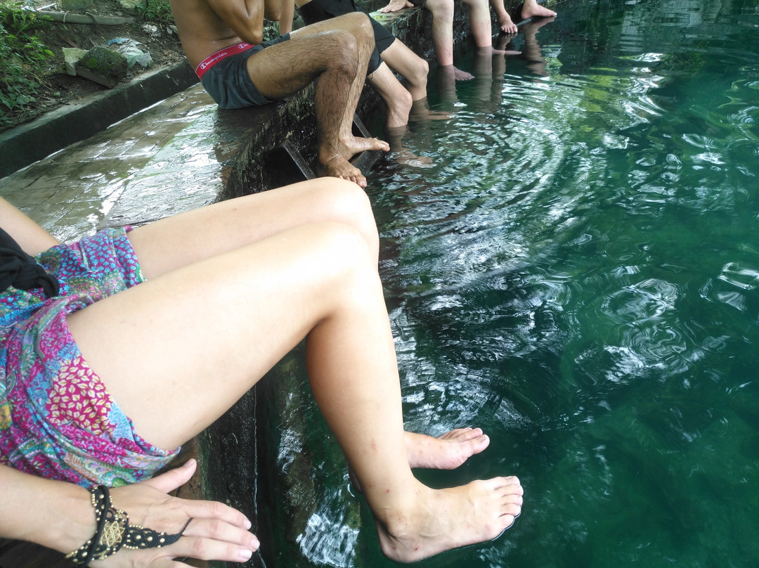 Hot Springs Selayang景点图片