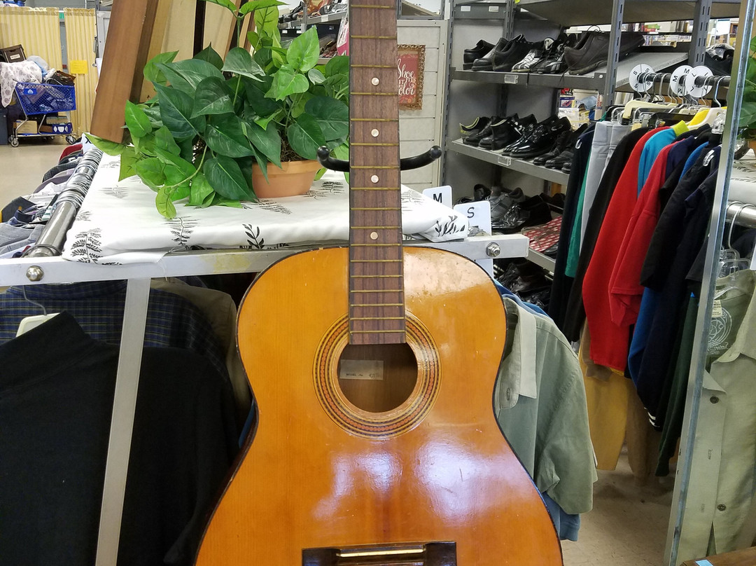 Finding Treasures for a Cure Thrift & Antique Store-林伍德必去景点