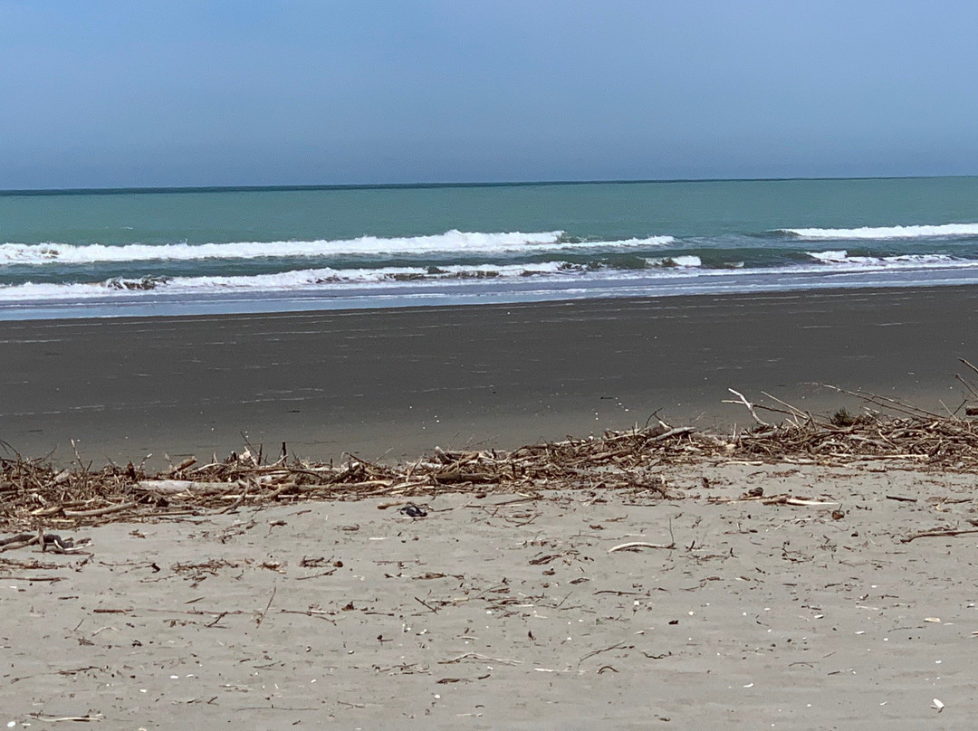 Waikuku Beach景点图片