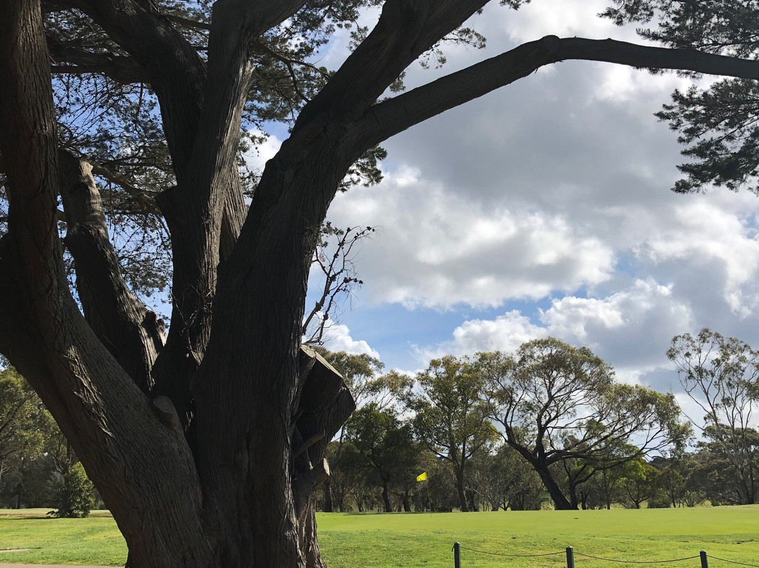 Mount Martha Public Golf Course景点图片