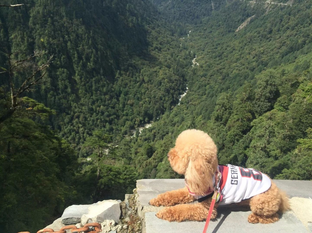 高黎贡山国家级自然保护区景点图片