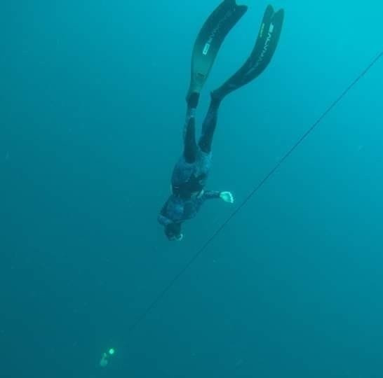 Freediving Gold Coast景点图片
