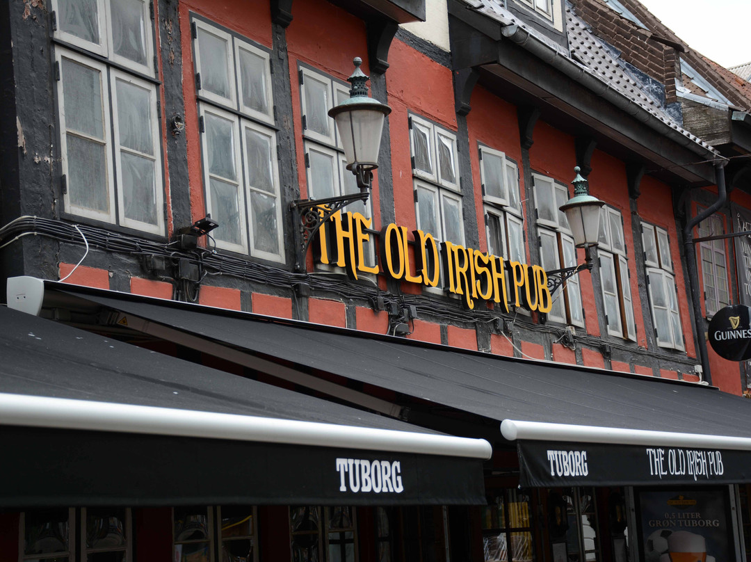 Jomfru Ane Gade-奥尔堡必去景点