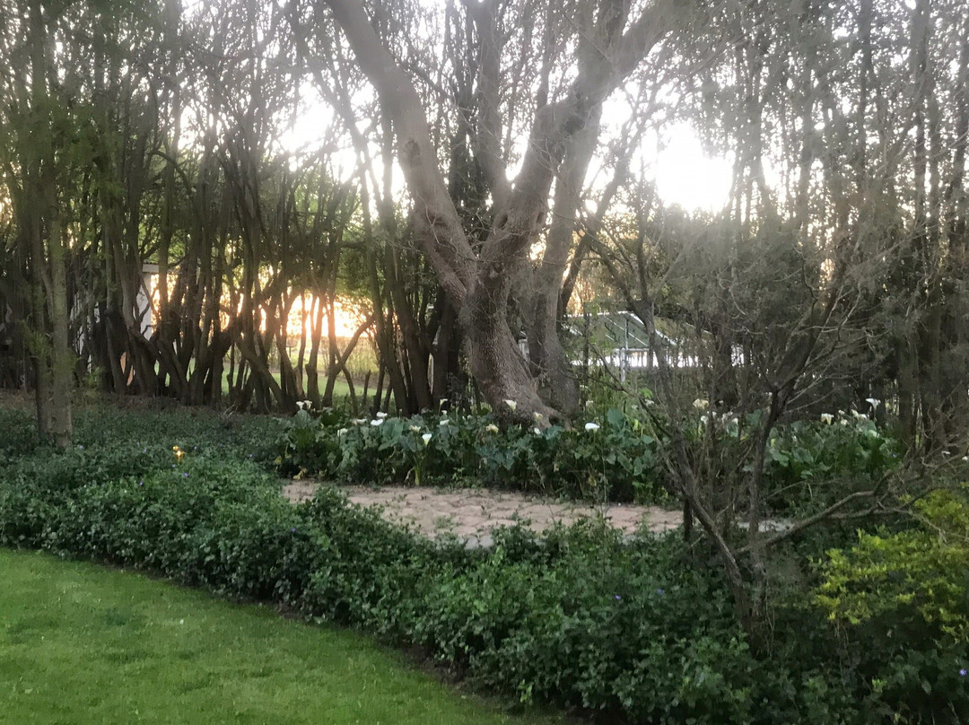 Highveld Splendour Boutique Bed and Breakfast主图