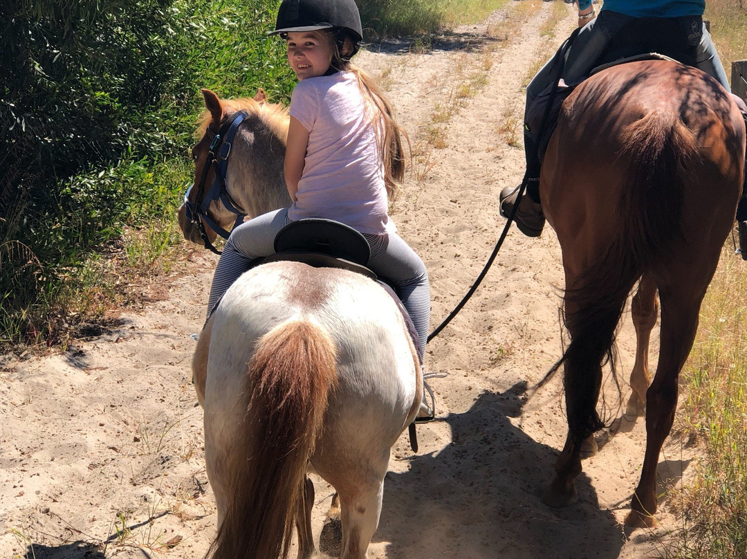 Mirravale Riding School-雅林角必去景点