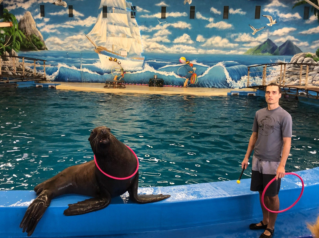 Dolphinarium Atlantida-下诺夫哥罗德必去景点