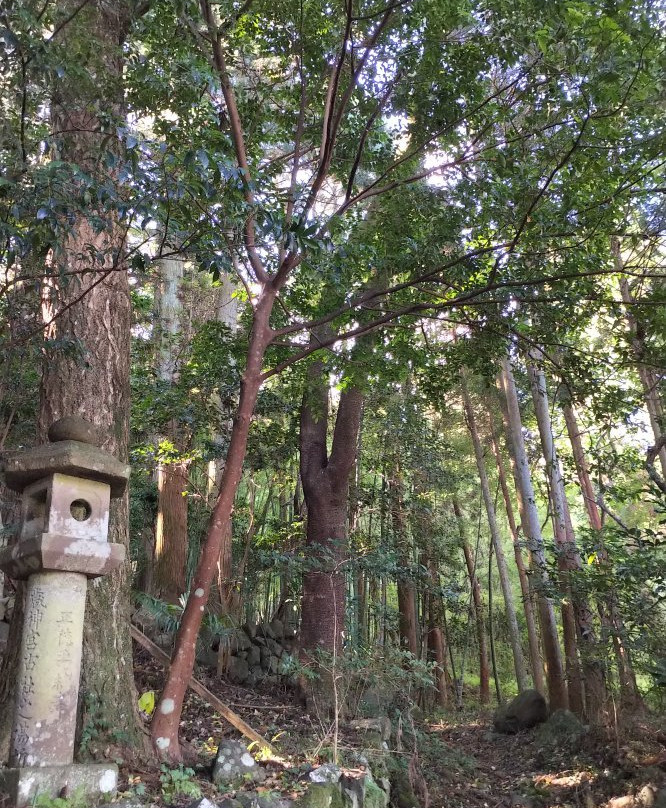 Ogosha Shrine景点图片