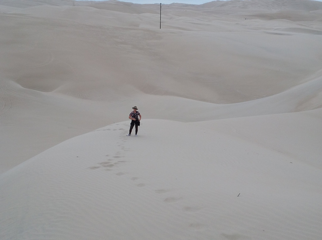 Moron Oasis-皮斯科必去景点