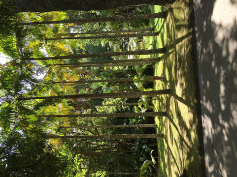 Test-PUBLIC-悉尼必去景点