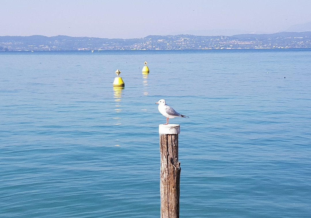 Spiaggia-Passeggiata delle Muse景点图片