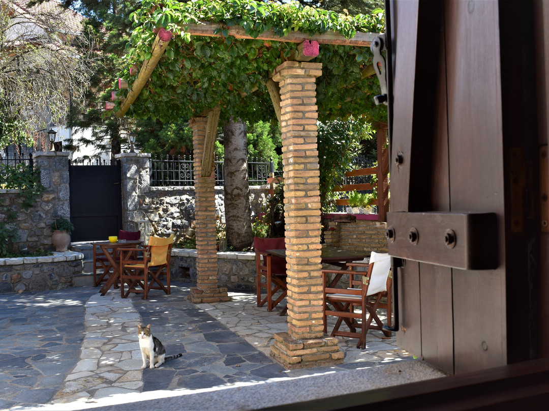 Arxontiko Nikolopoulou主图