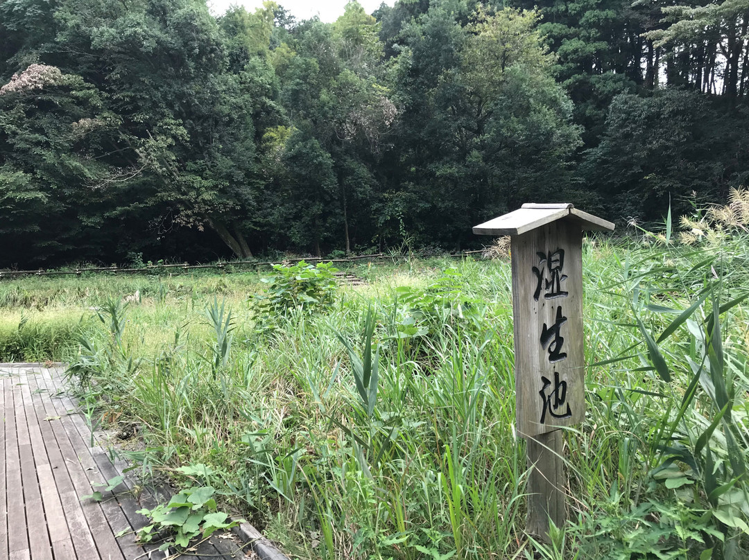 Tadao Park-町田市必去景点