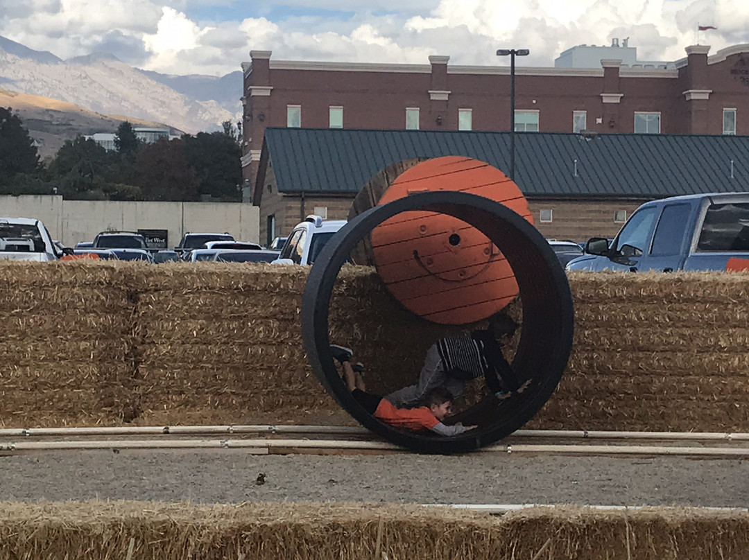 Cornbelly's Corn Maze & Pumpkin Fest景点图片