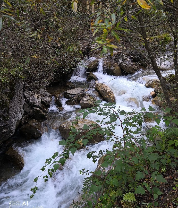 官鹅沟国家森林公园-宕昌县必去景点