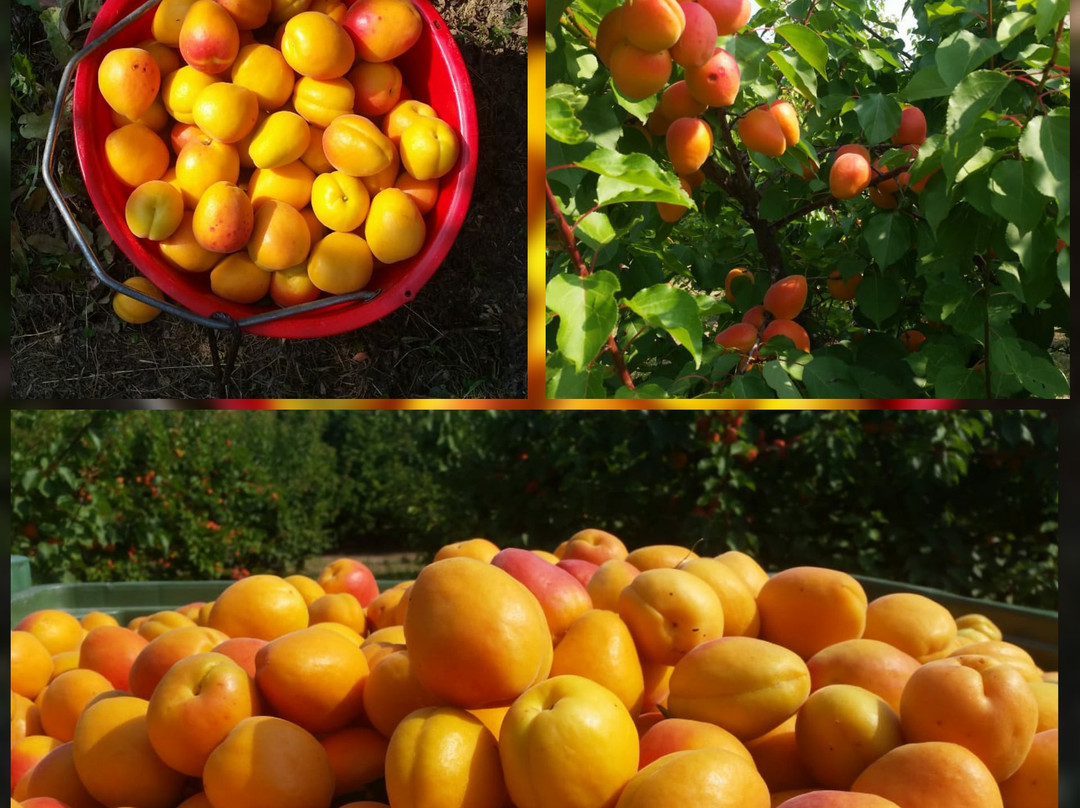 Agriturismo Cascina San Bernardo主图