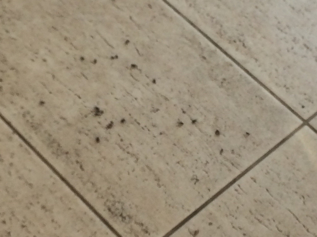 Coast Ridge Mansion主图