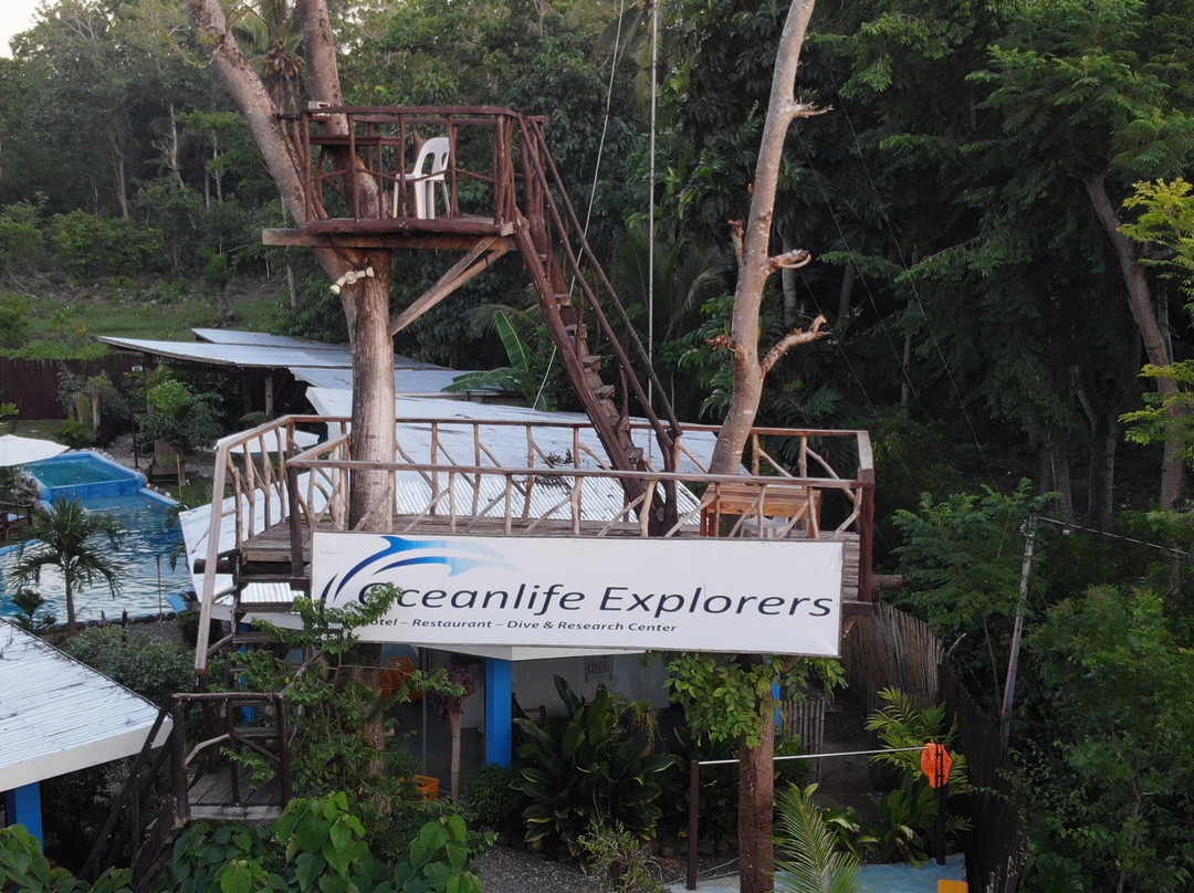 Oceanlife Explorers主图