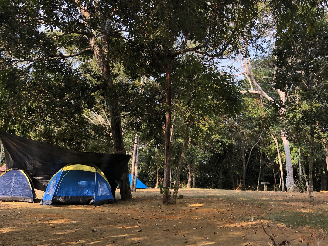 Parque Estadual do Rio Doce景点图片