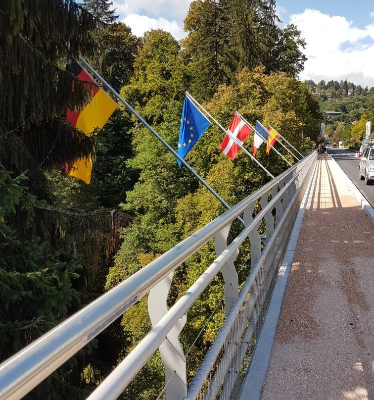 Pont du Diable景点图片