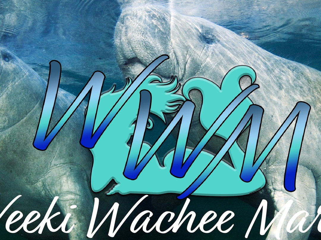 Weeki Wachee Marina-Weeki Wachee必去景点