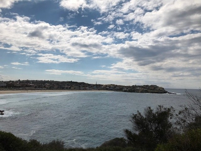 Marks Park-Tamarama必去景点