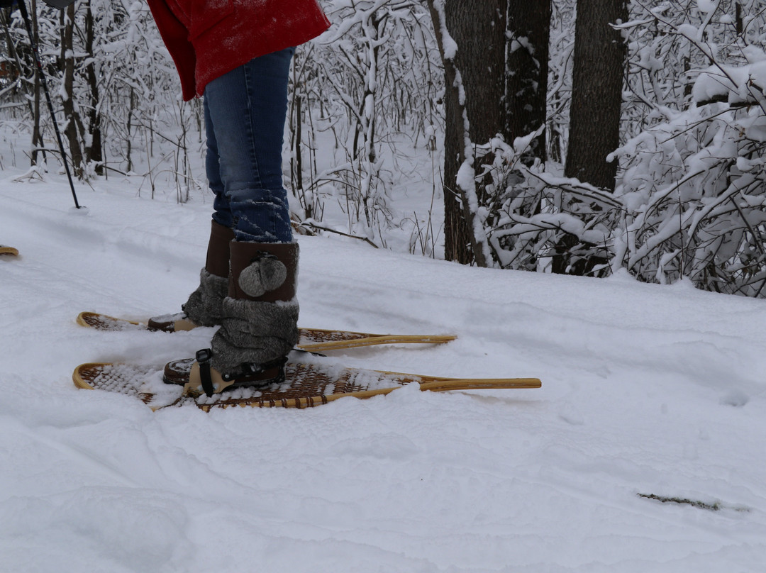 Kay-Nah-Chi-Wah-Nung Historical Centre (Manitou Mounds)-Stratton必去景点