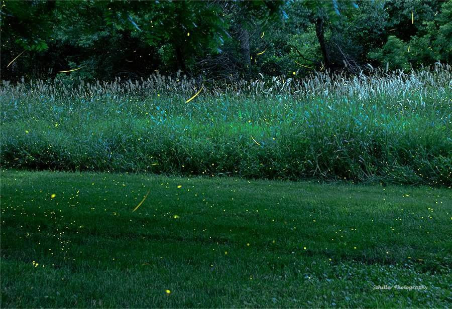 Red Cedar Lodge主图