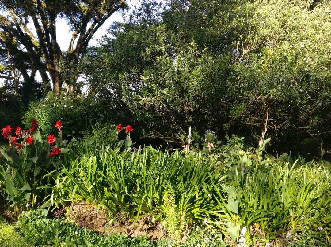 The Barnleys Guest House主图