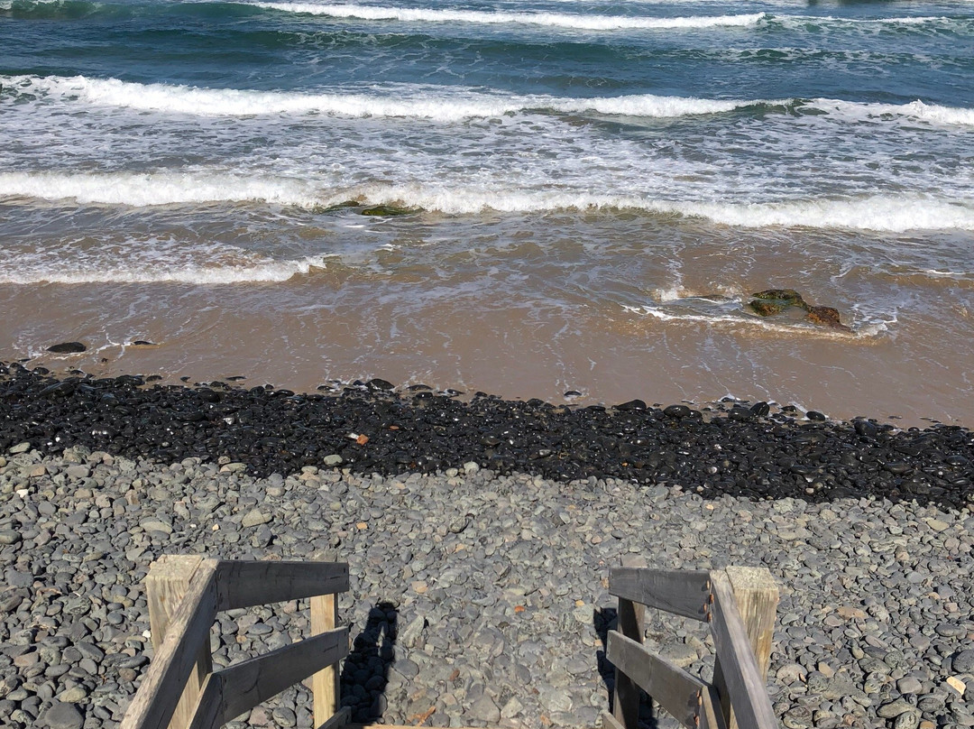 YCW Beach景点图片