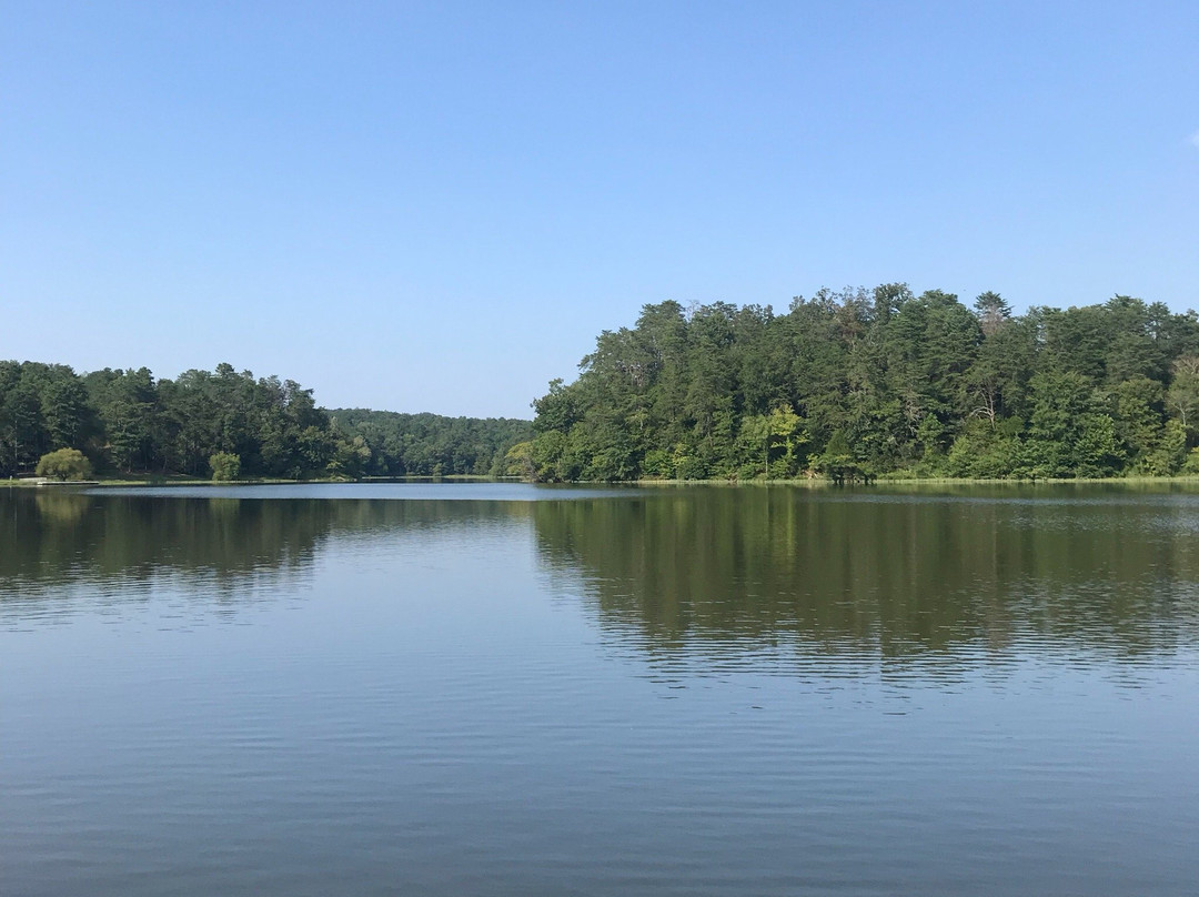 Salacoa Creek Park-Ranger必去景点